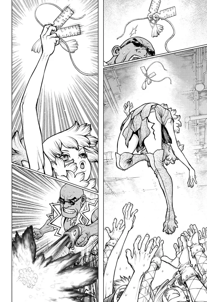 Dr. Stone capítulo 191, página 11