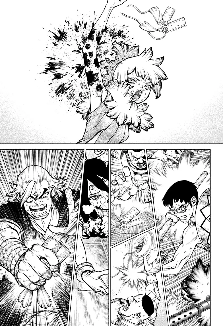 Dr. Stone capítulo 191, página 12