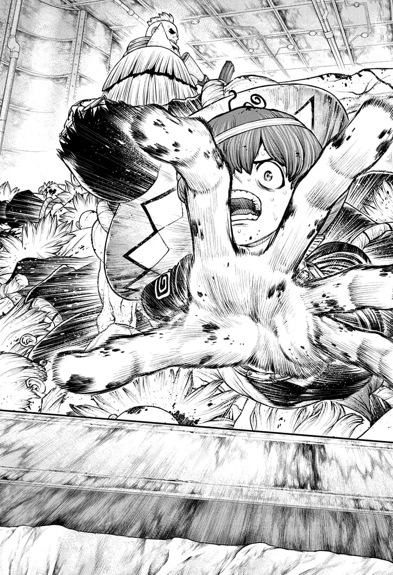 Dr. Stone capítulo 191, página 15
