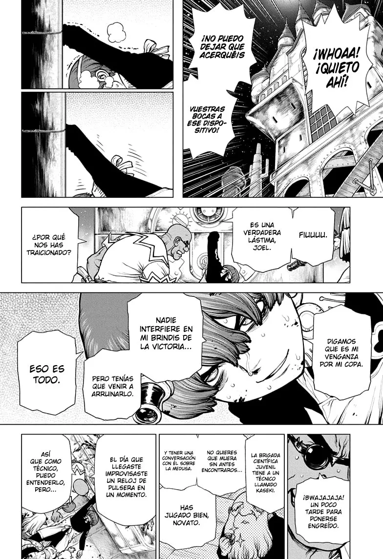 Dr. Stone capítulo 191, página 17