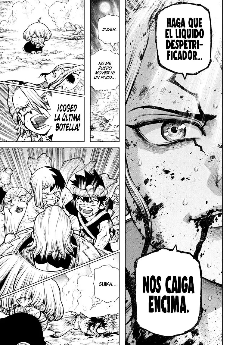 Dr. Stone capítulo 192, página 17