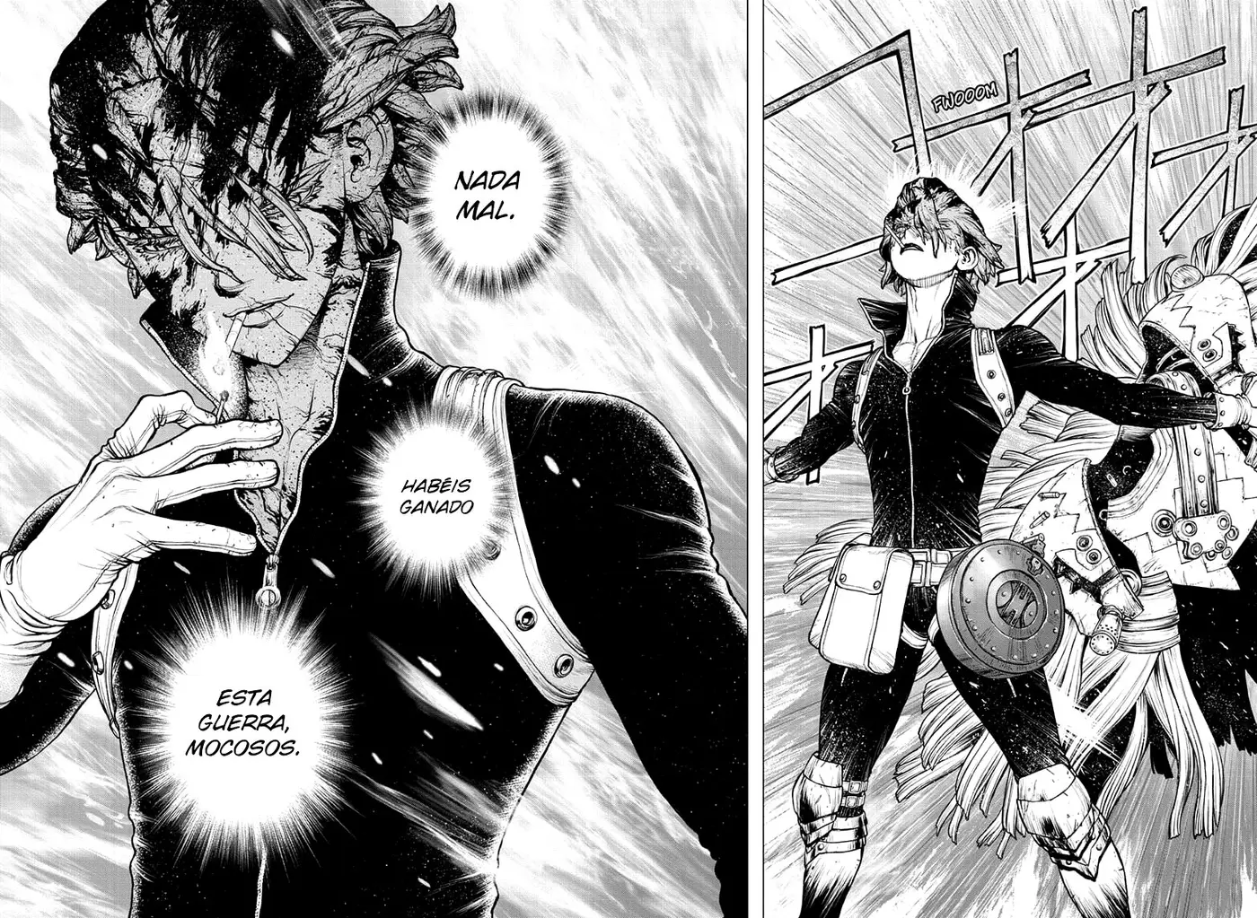 Dr. Stone capítulo 193, página 13