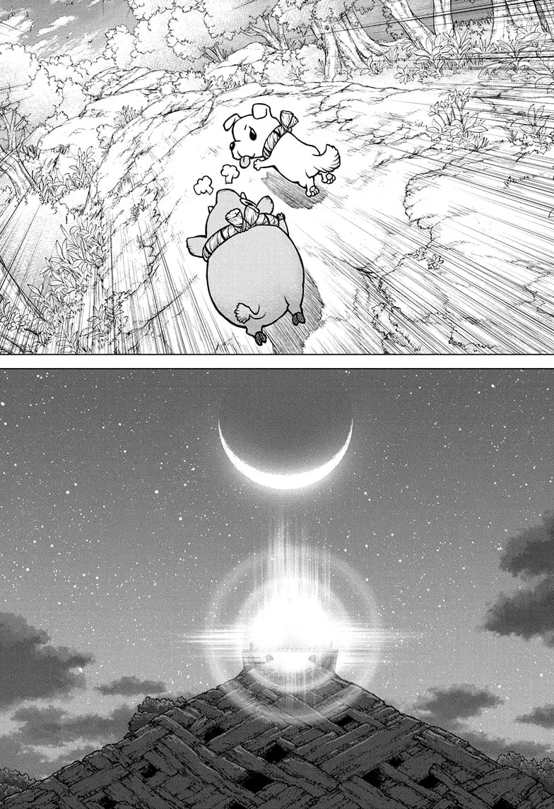 Dr. Stone capítulo 193, página 17