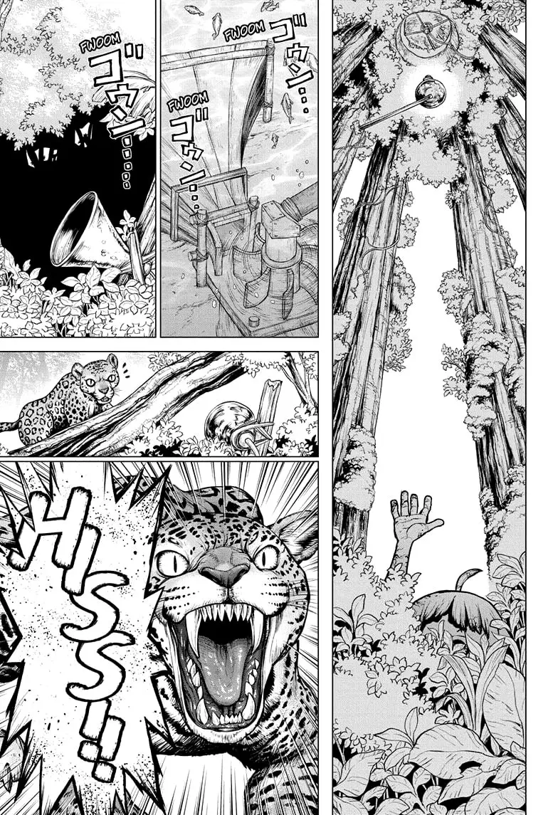 Dr. Stone capítulo 194, página 5