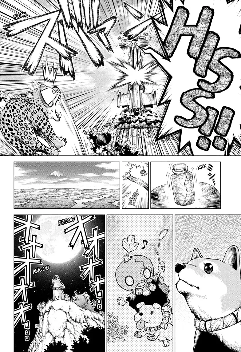Dr. Stone capítulo 194, página 6