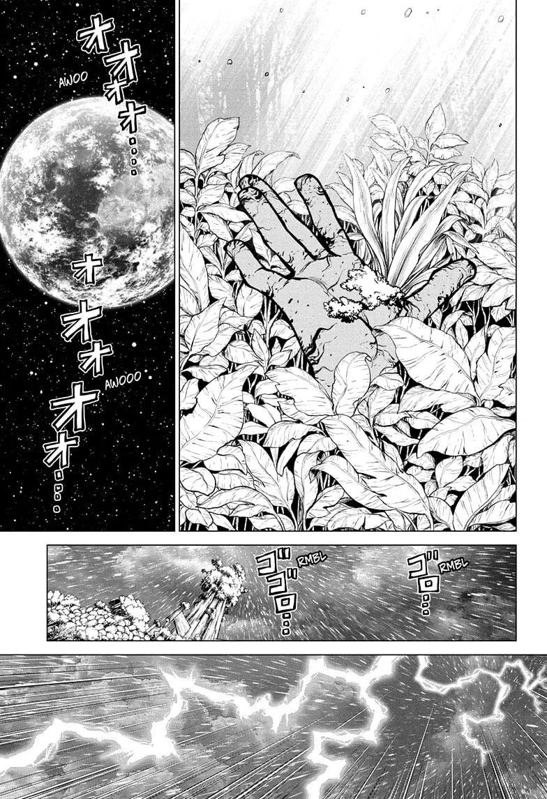 Dr. Stone capítulo 194, página 7