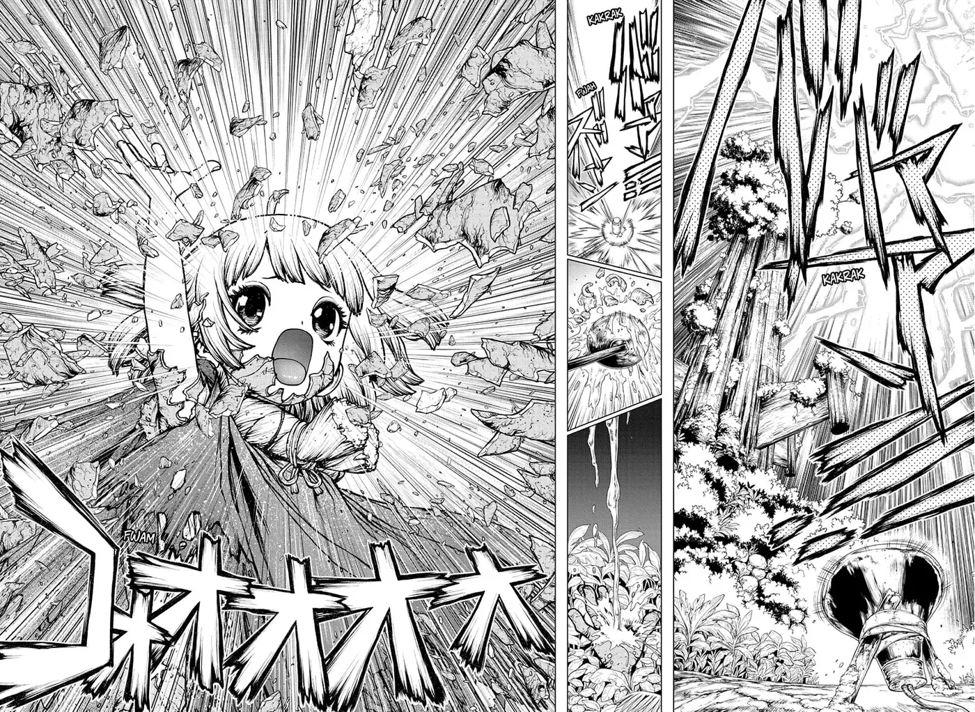 Dr. Stone capítulo 194, página 8