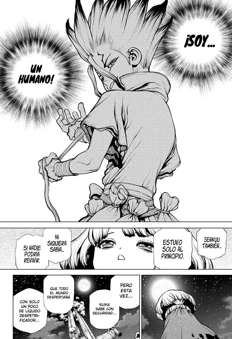 Dr. Stone capítulo 194, página 17