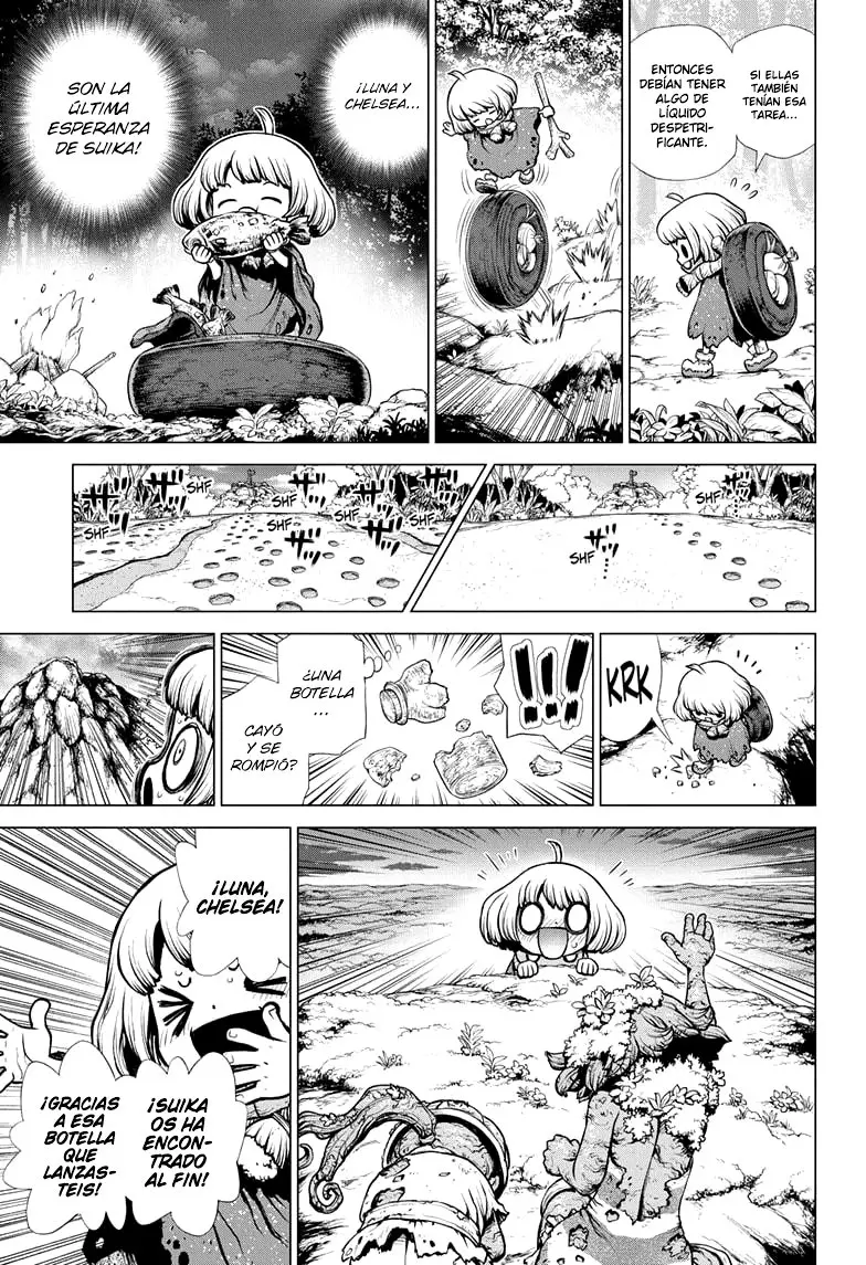 Dr. Stone capítulo 195, página 14