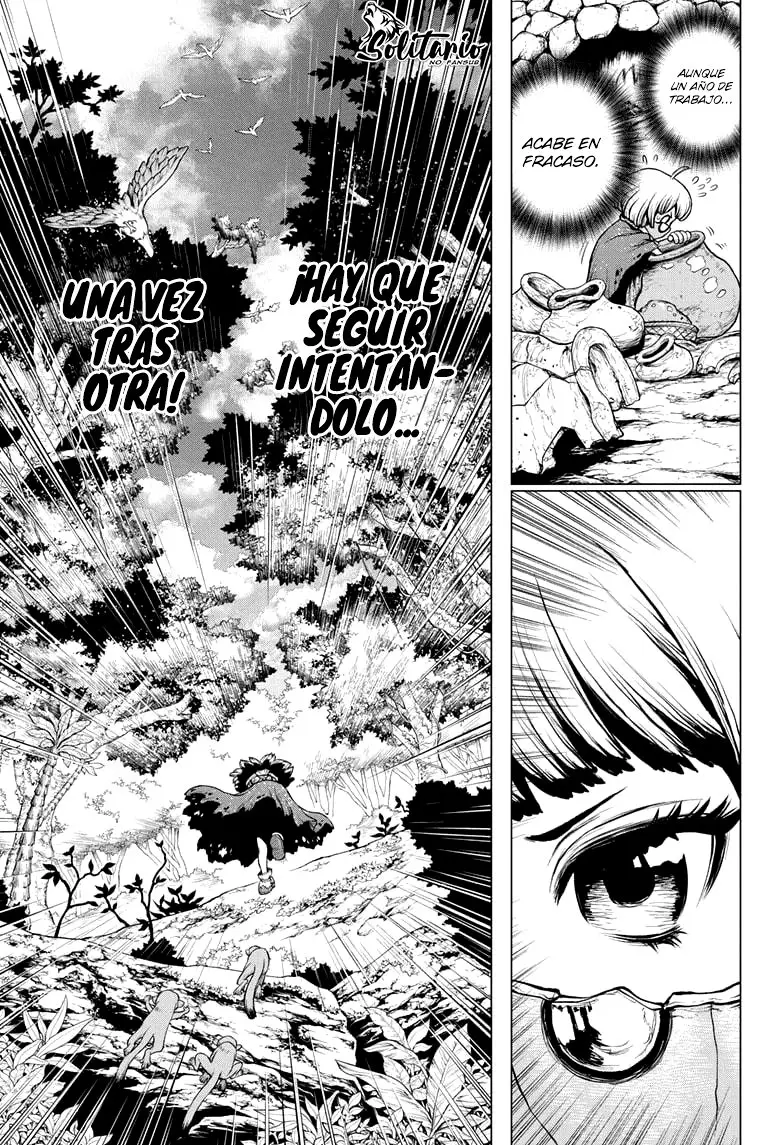 Dr. Stone capítulo 196, página 17