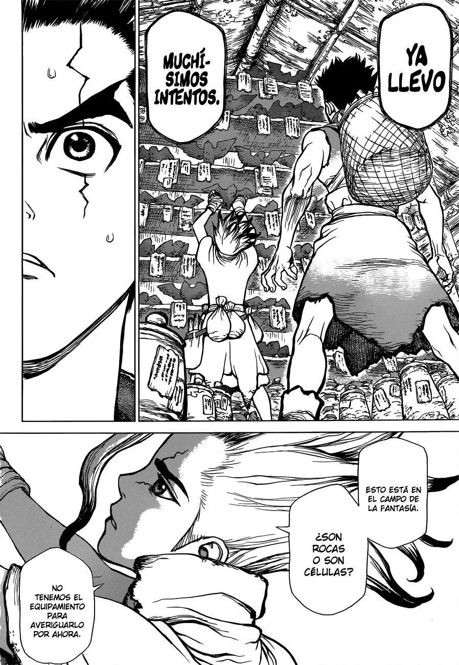 Dr. Stone capítulo 2, página 10
