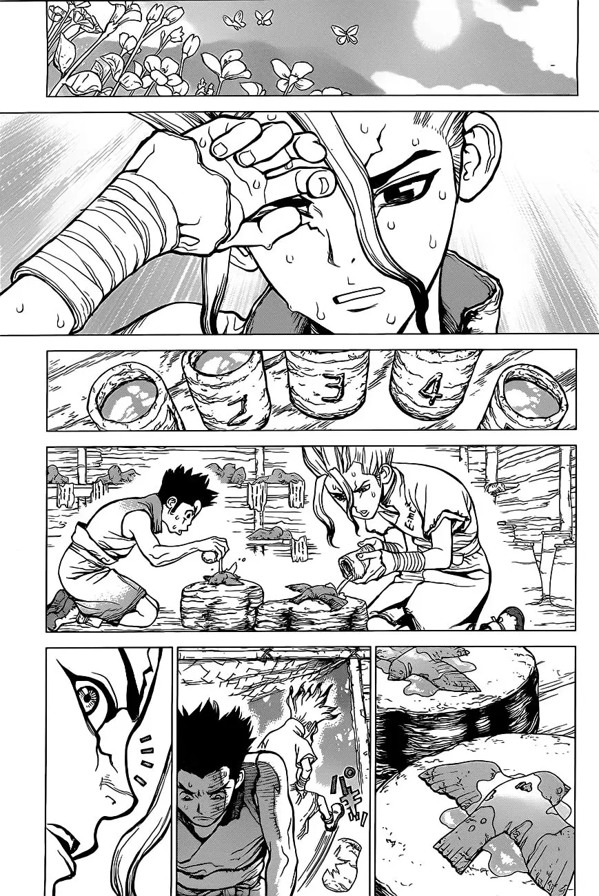 Dr. Stone capítulo 2, página 19