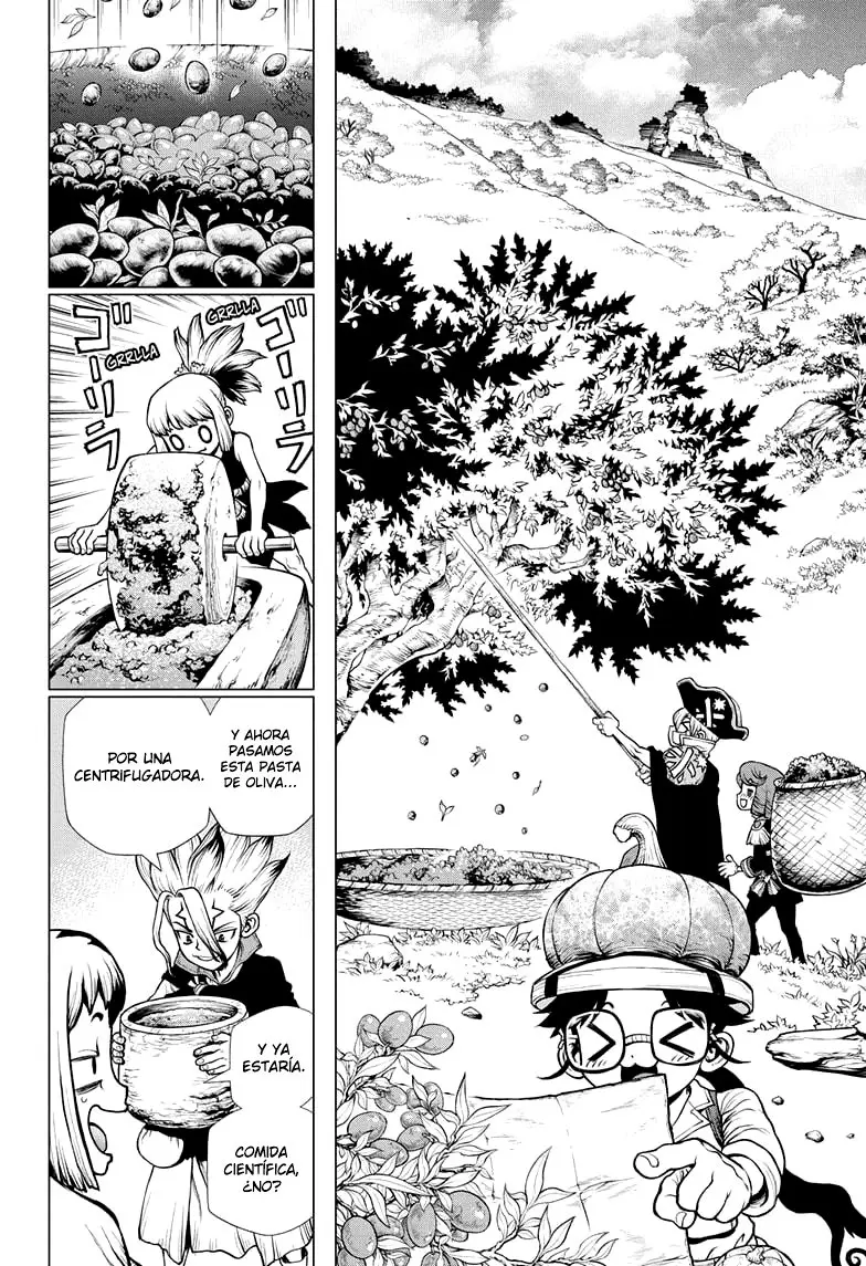 Dr. Stone capítulo 202, página 8