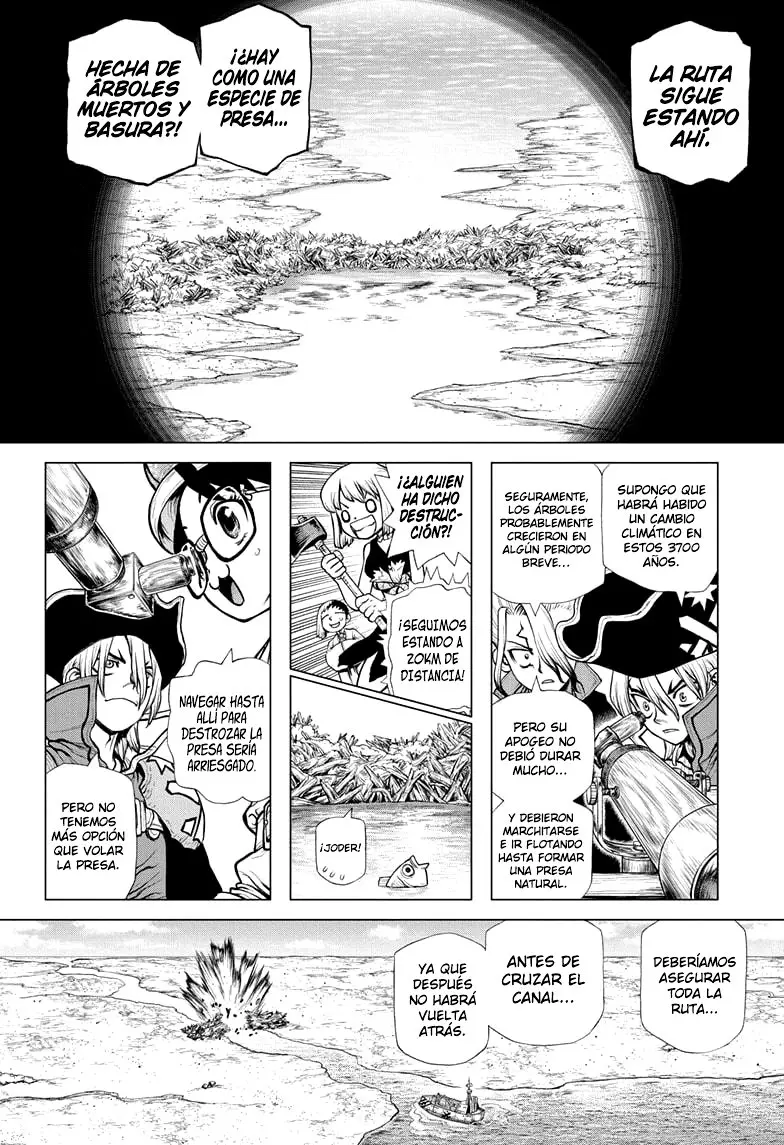 Dr. Stone capítulo 203, página 14