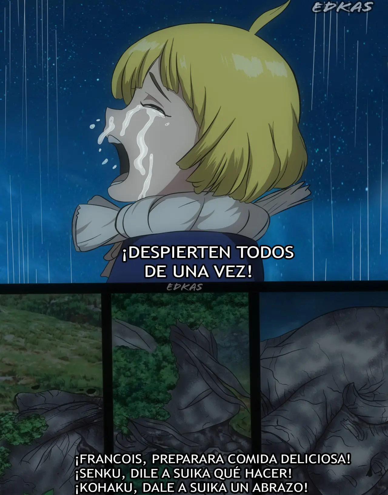 Dr. Stone capítulo 210, página 4
