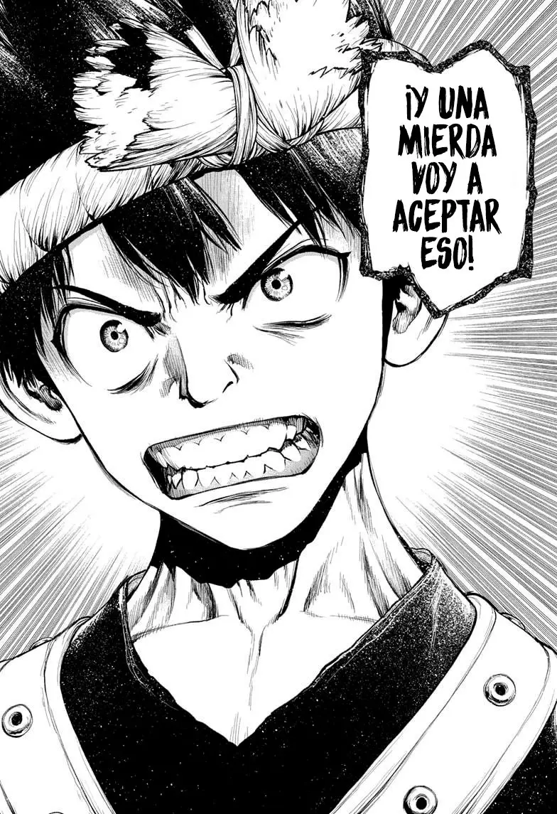 Dr. Stone capítulo 210, página 15