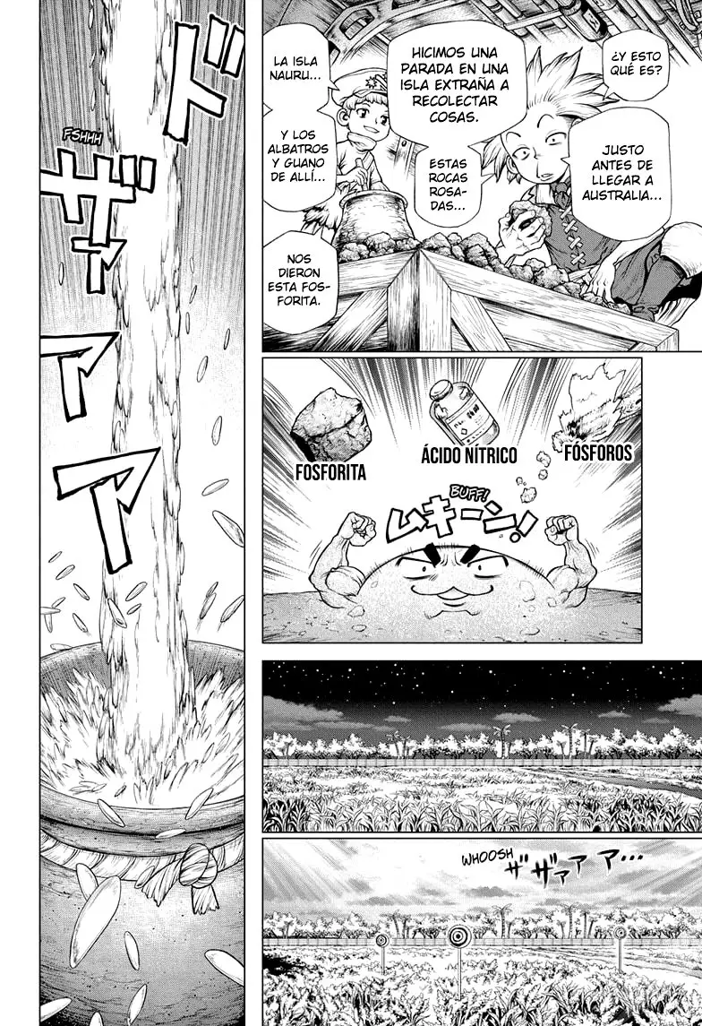 Dr. Stone capítulo 211, página 15