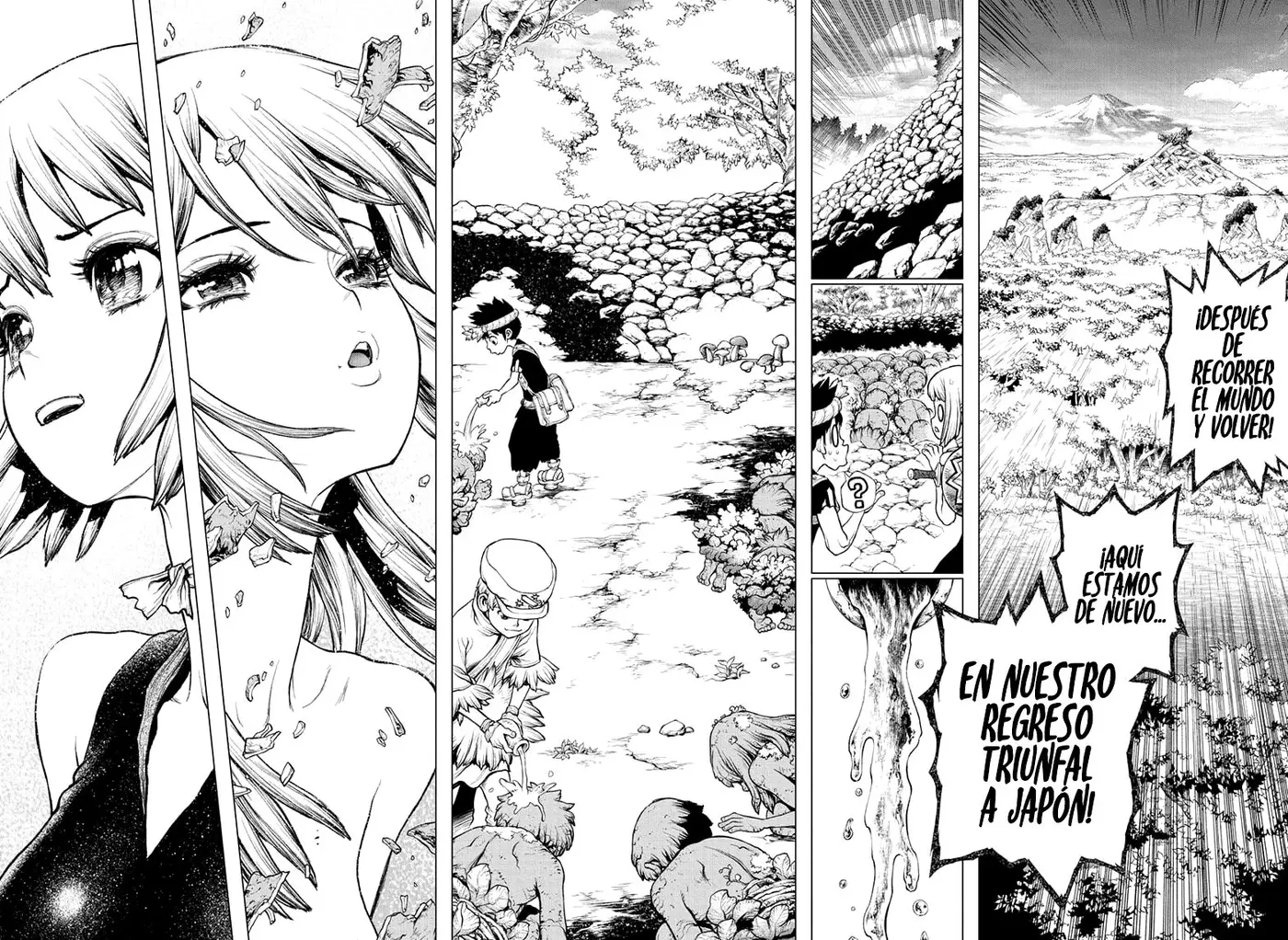 Dr. Stone capítulo 212, página 9