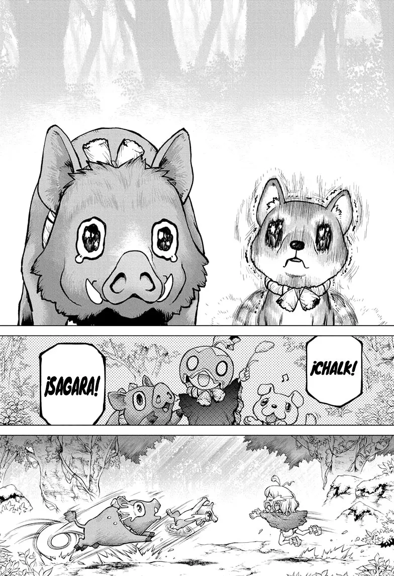 Dr. Stone capítulo 212, página 13
