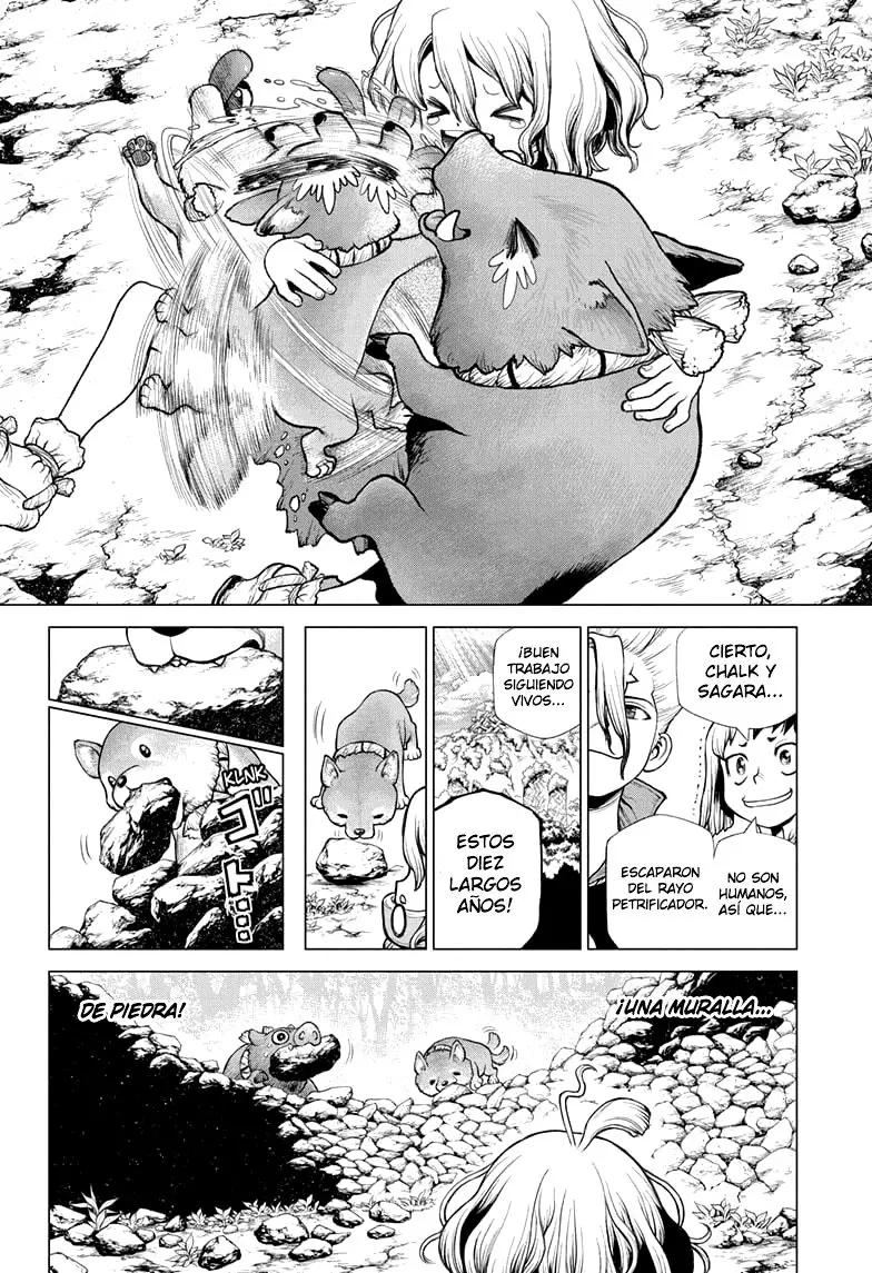 Dr. Stone capítulo 212, página 14
