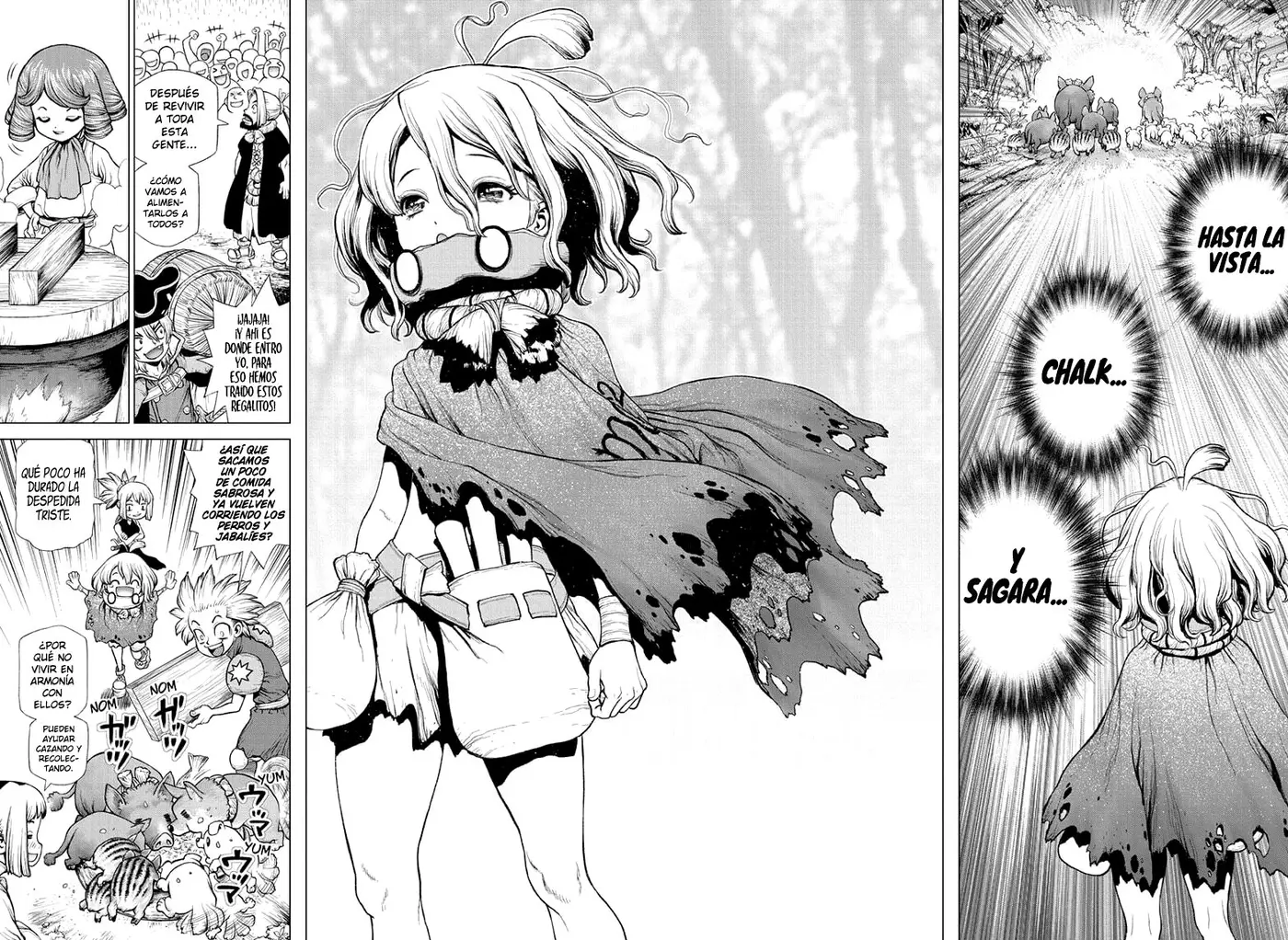 Dr. Stone capítulo 212, página 16