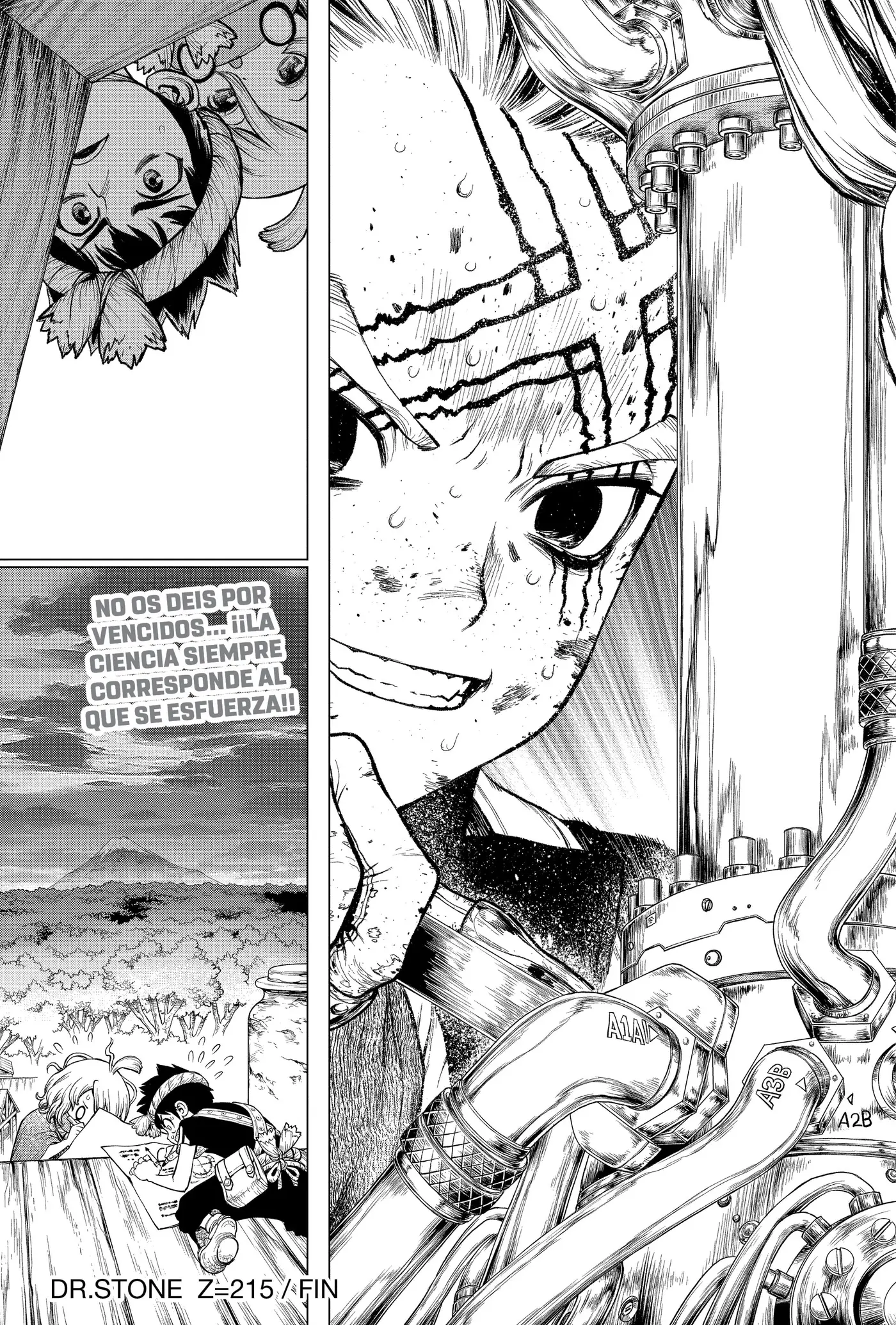 Dr. Stone capítulo 215, página 19