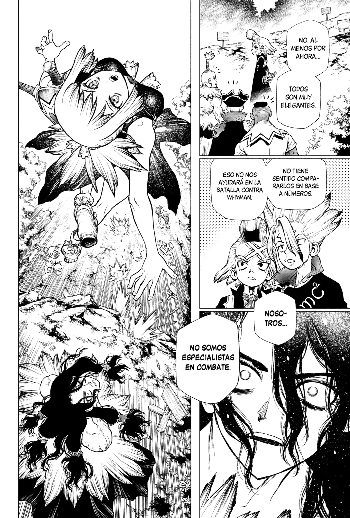 Dr. Stone capítulo 219, página 12