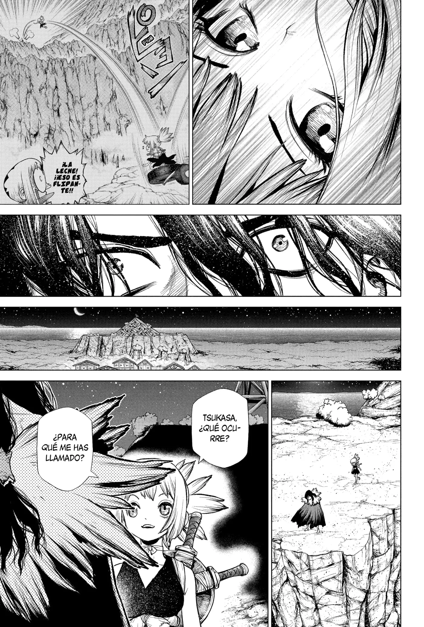 Dr. Stone capítulo 219, página 13