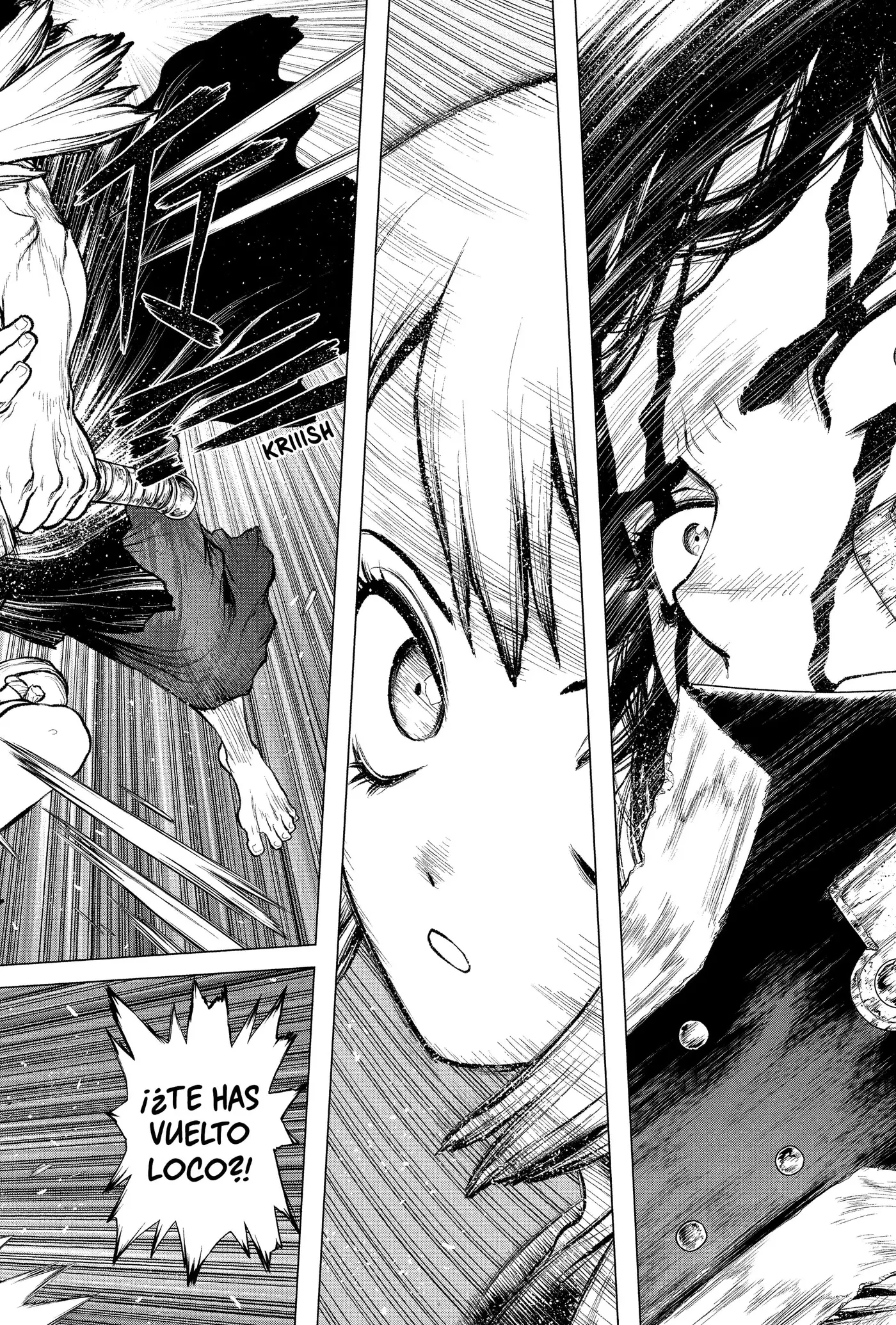 Dr. Stone capítulo 219, página 14