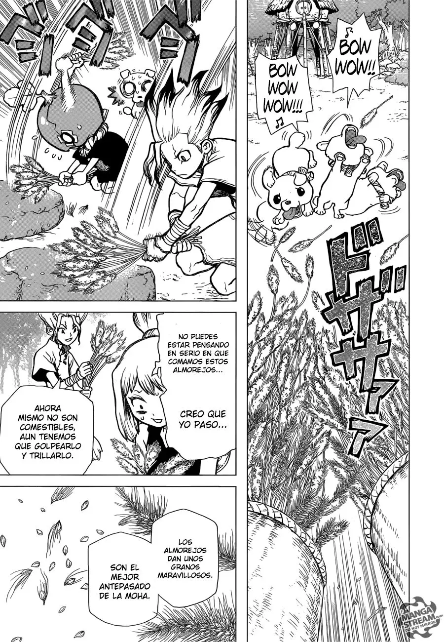 Dr. Stone capítulo 22, página 11