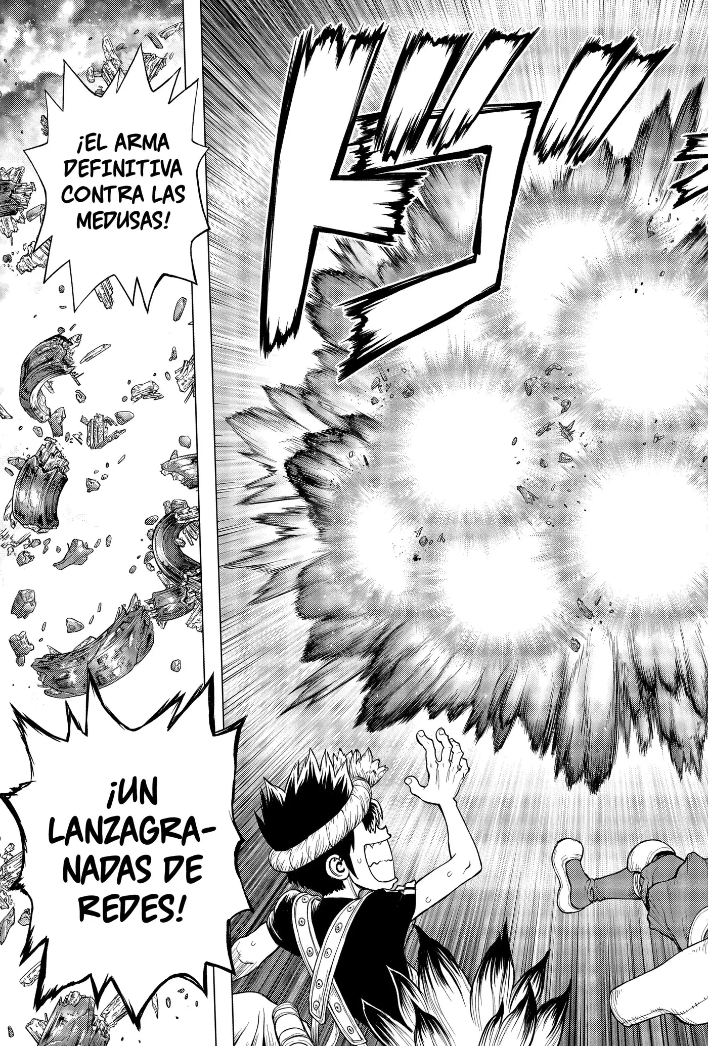Dr. Stone capítulo 220, página 13
