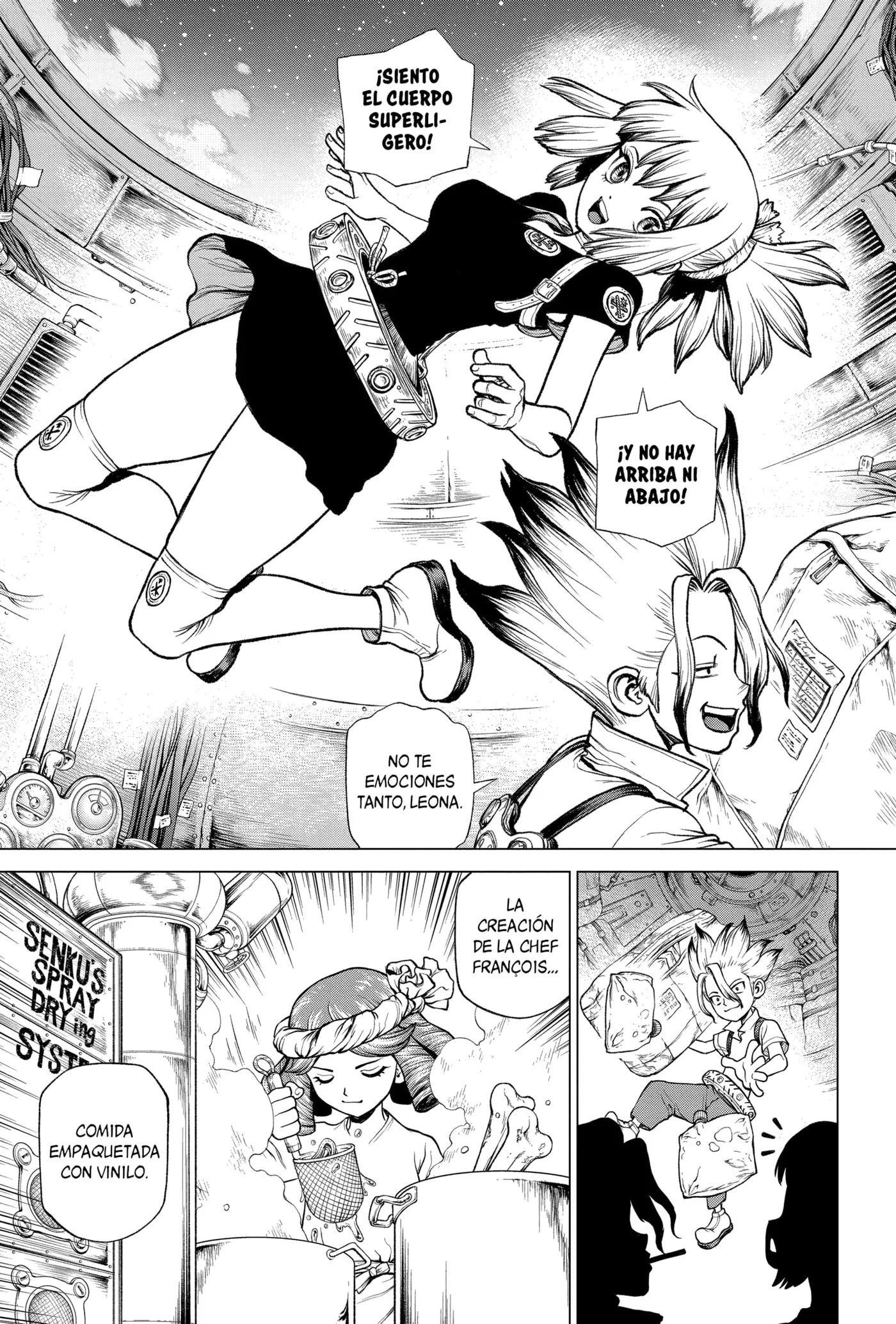 Dr. Stone capítulo 224, página 14