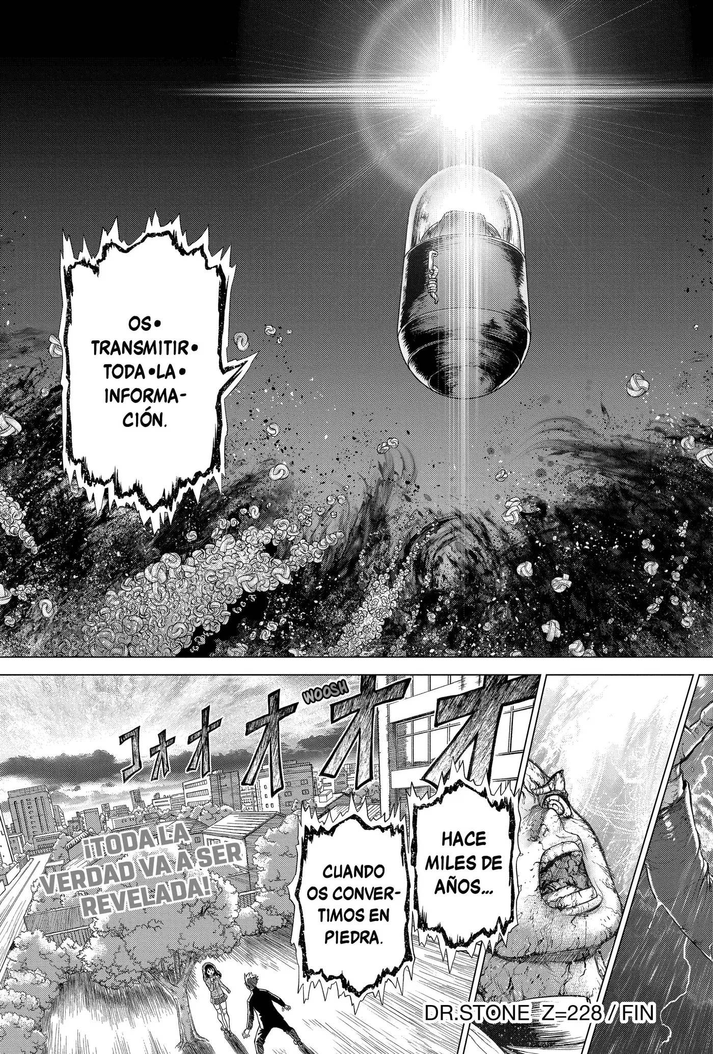 Dr. Stone capítulo 228, página 19