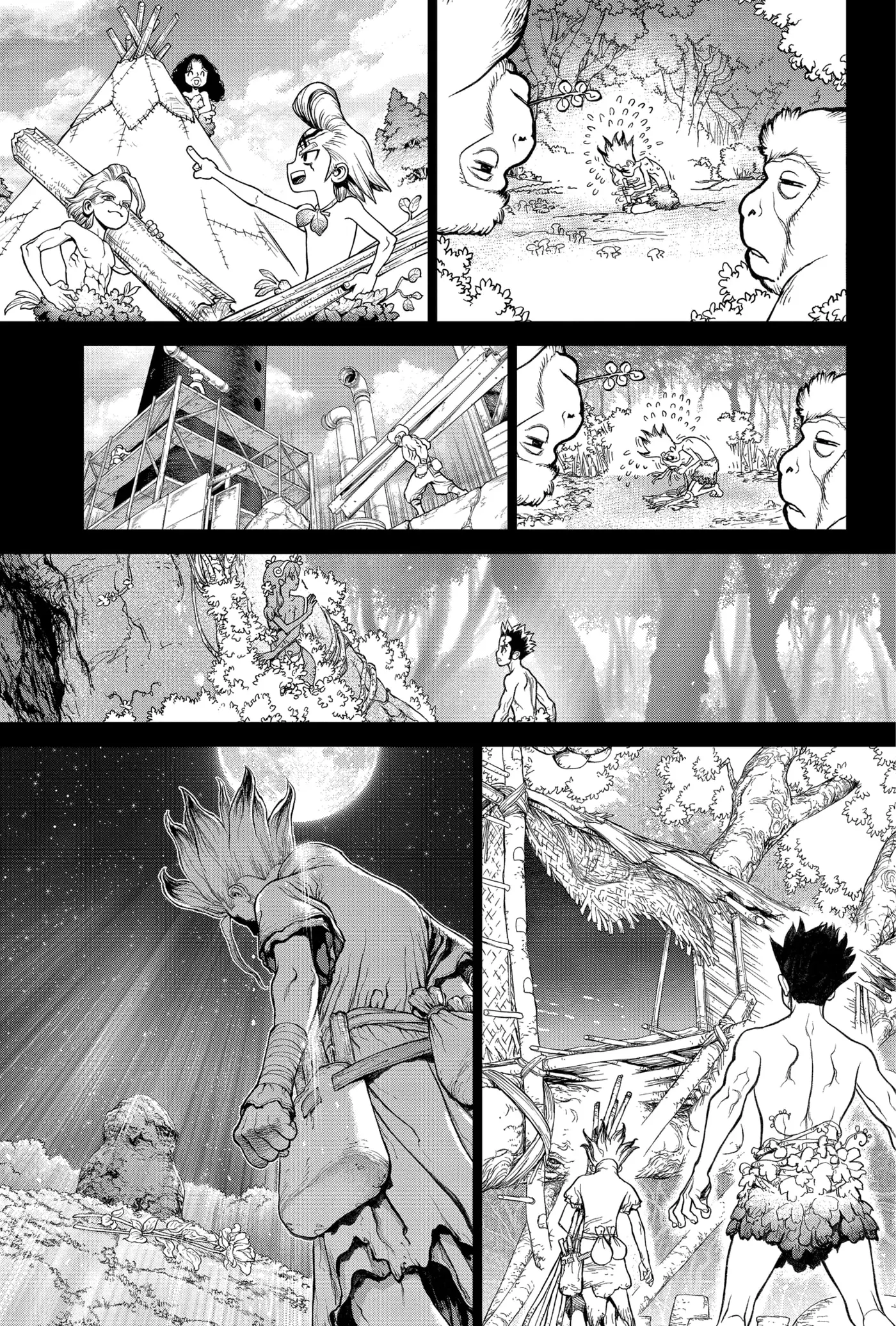 Dr. Stone capítulo 229, página 15