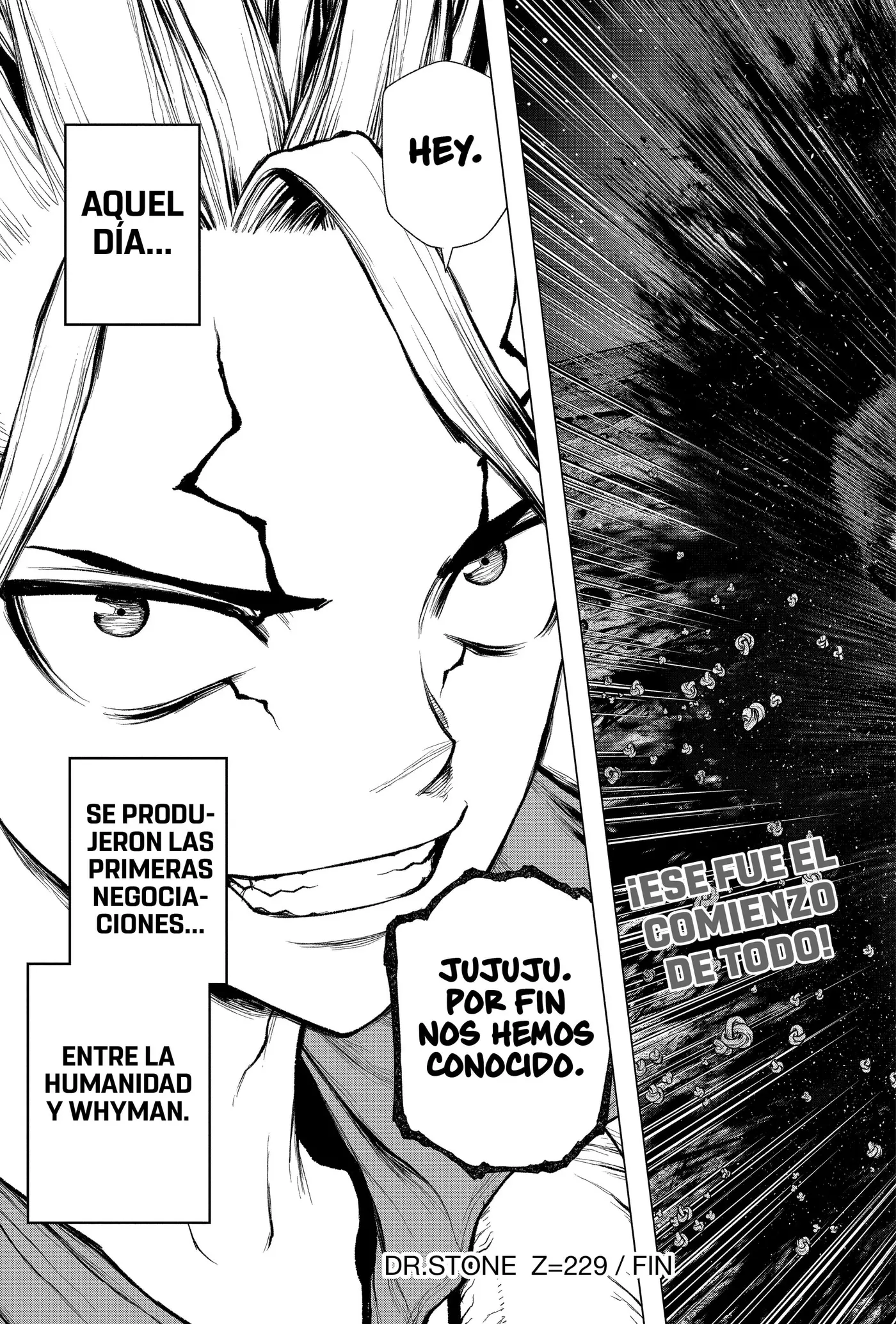 Dr. Stone capítulo 229, página 19