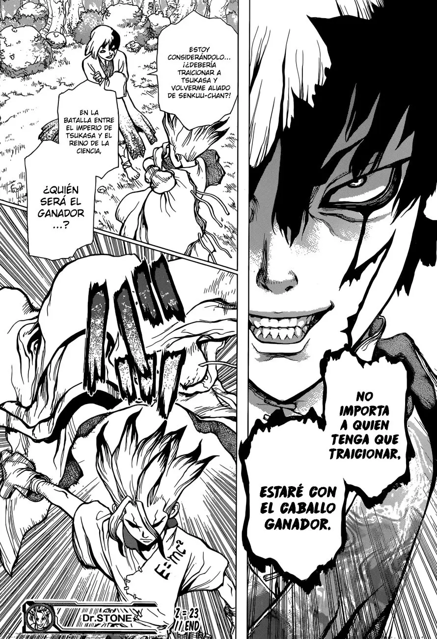 Dr. Stone capítulo 23, página 17