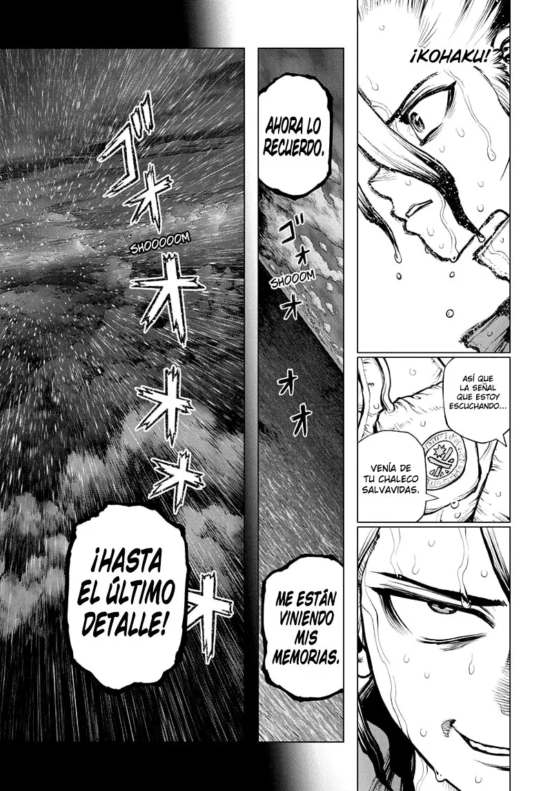 Dr. Stone capítulo 233, página 9
