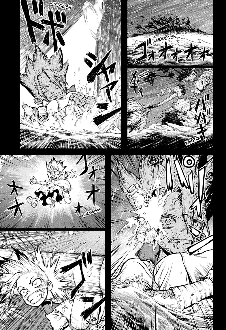 Dr. Stone capítulo 233, página 17