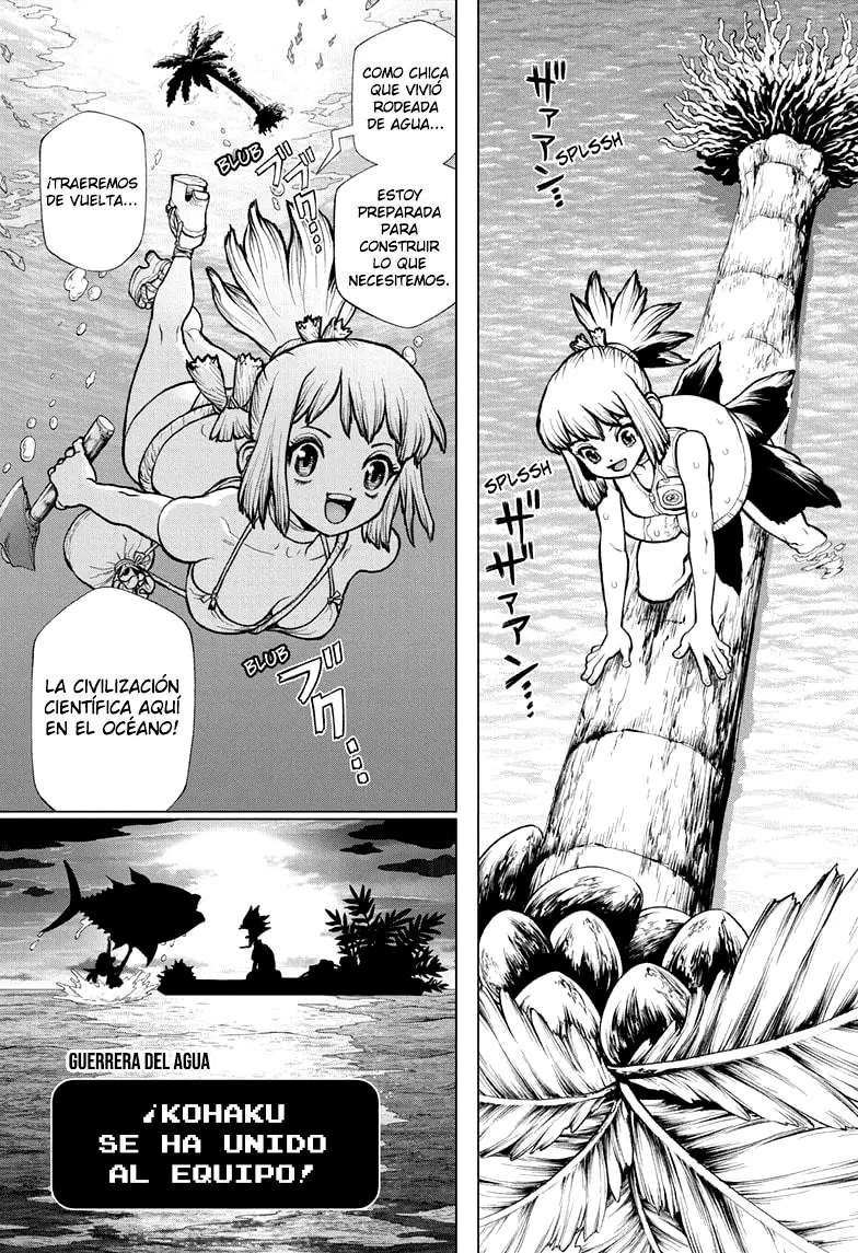 Dr. Stone capítulo 233, página 21
