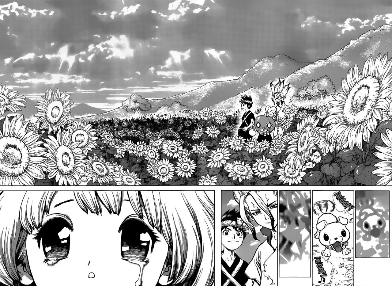 Dr. Stone capítulo 28, página 14