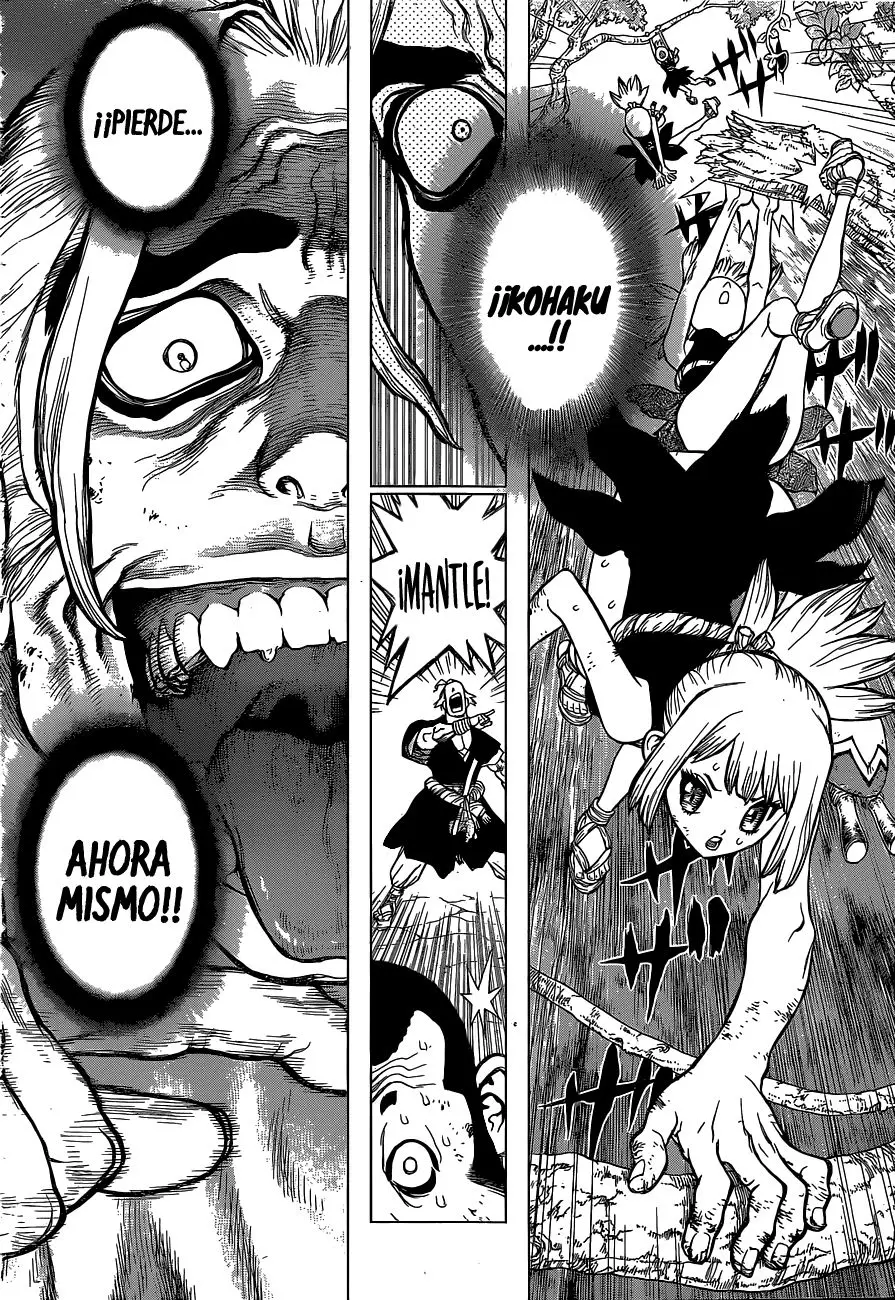 Dr. Stone capítulo 36, página 10