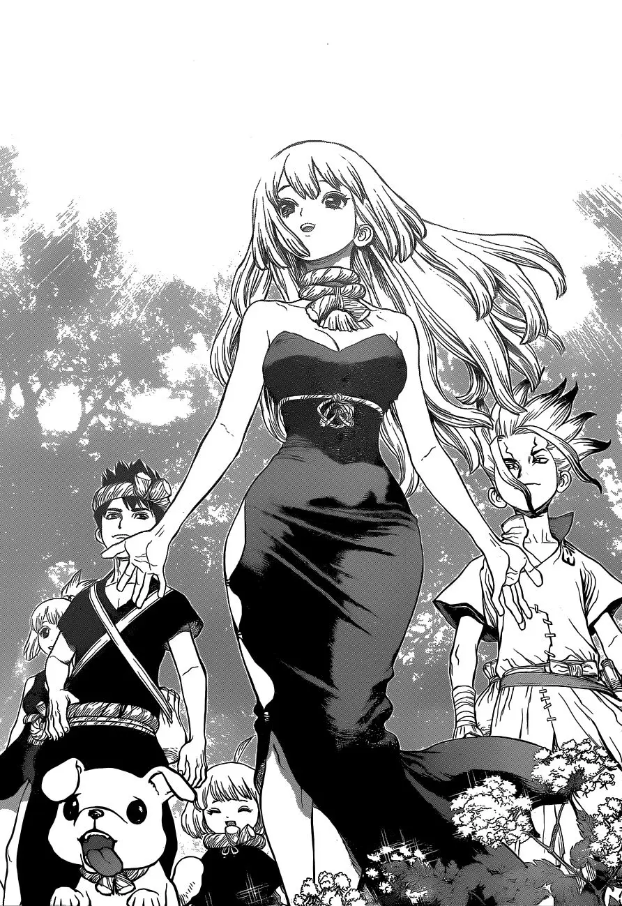Dr. Stone capítulo 41, página 14