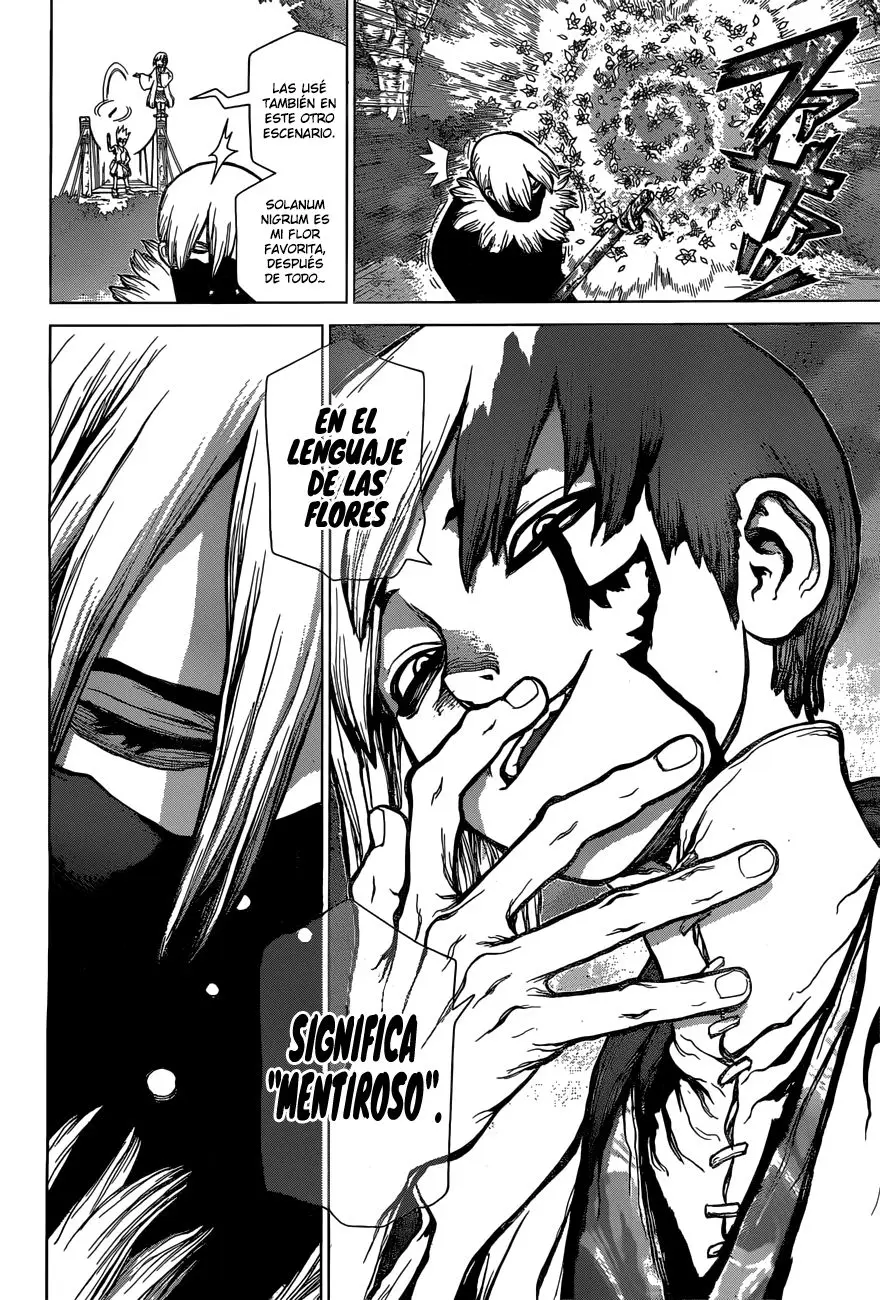 Dr. Stone capítulo 48, página 17