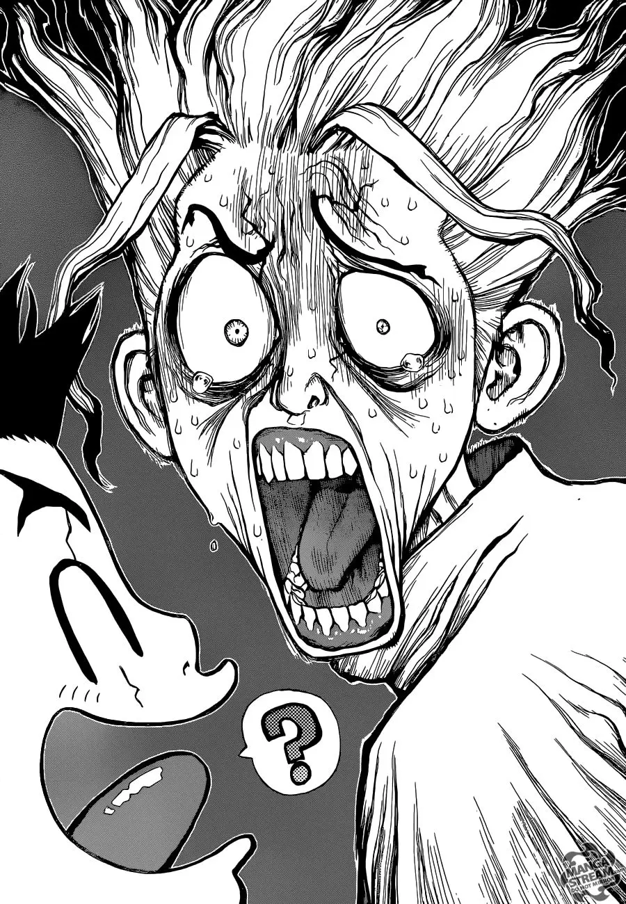 Dr. Stone capítulo 5, página 2
