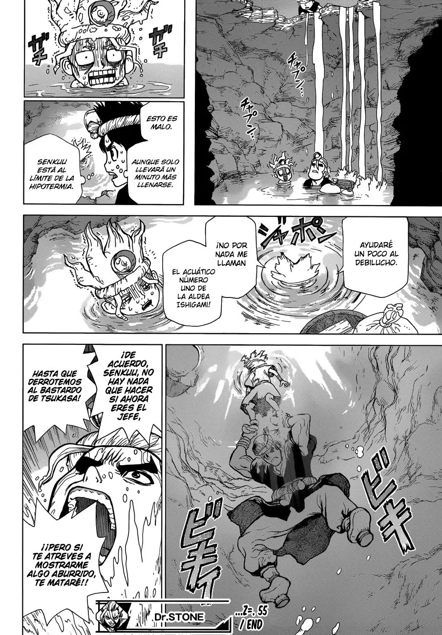 Dr. Stone capítulo 55, página 17