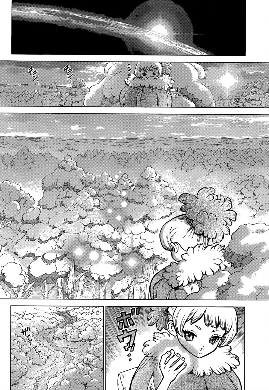 Dr. Stone capítulo 63, página 10