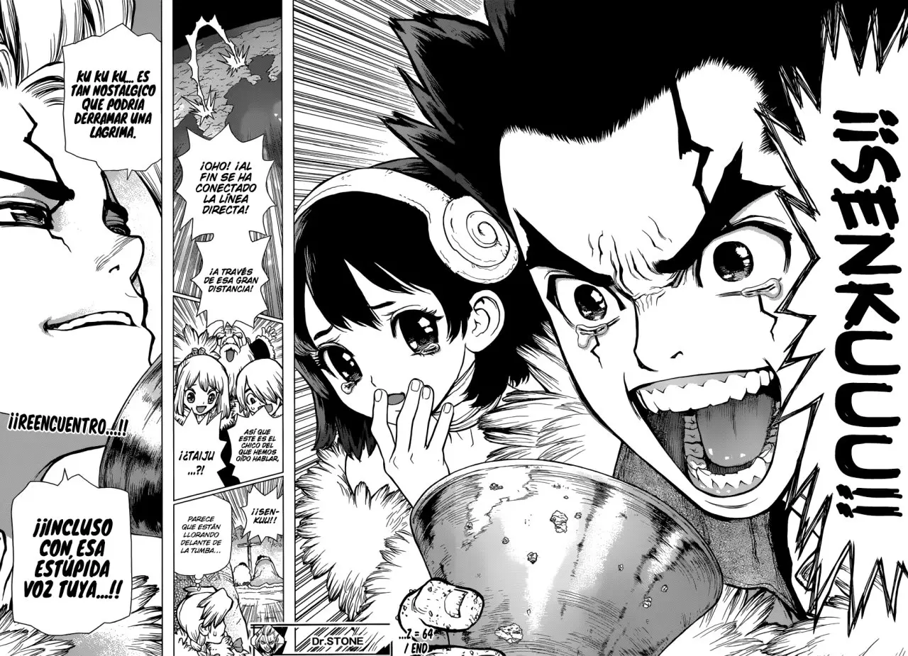 Dr. Stone capítulo 64, página 17