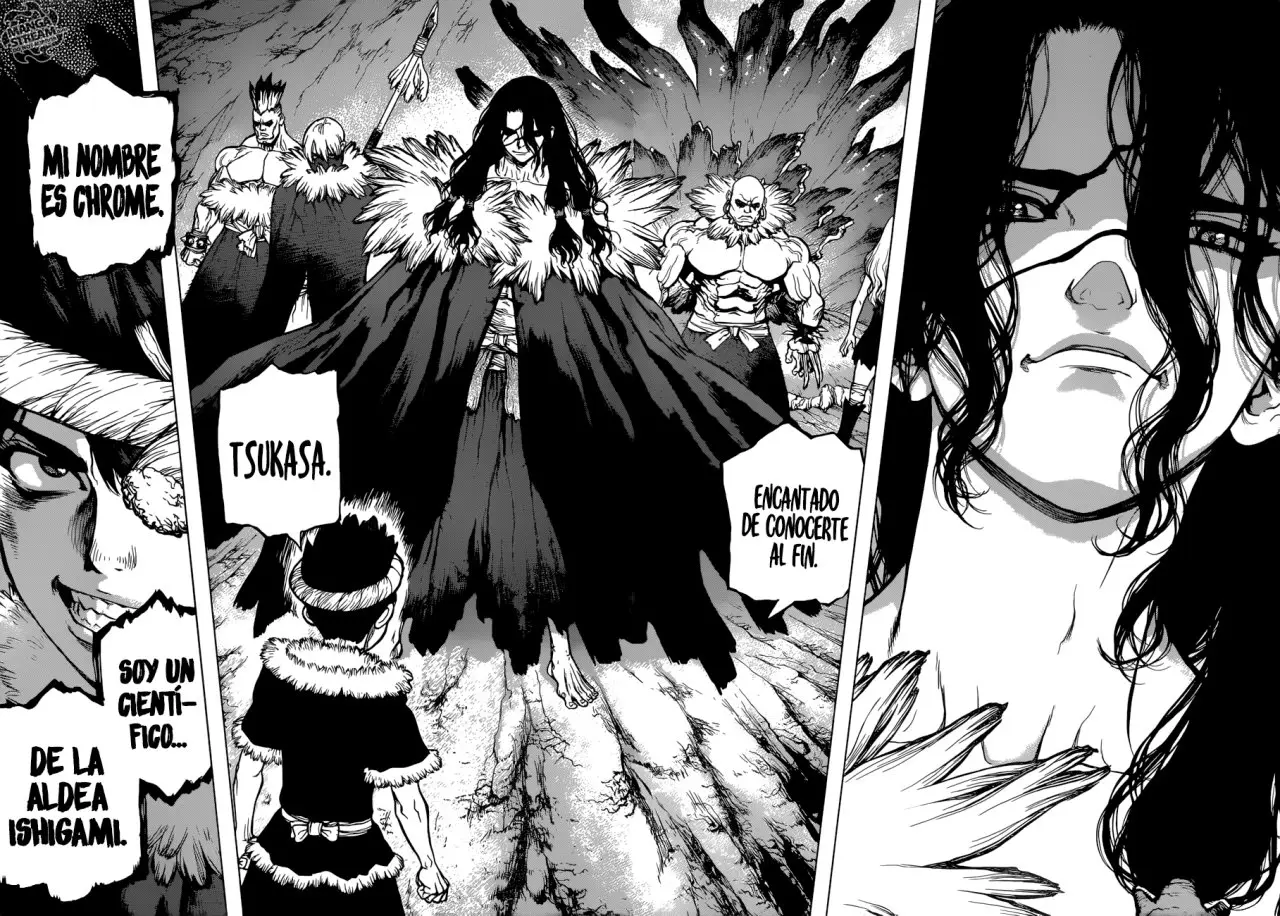Dr. Stone capítulo 67, página 12