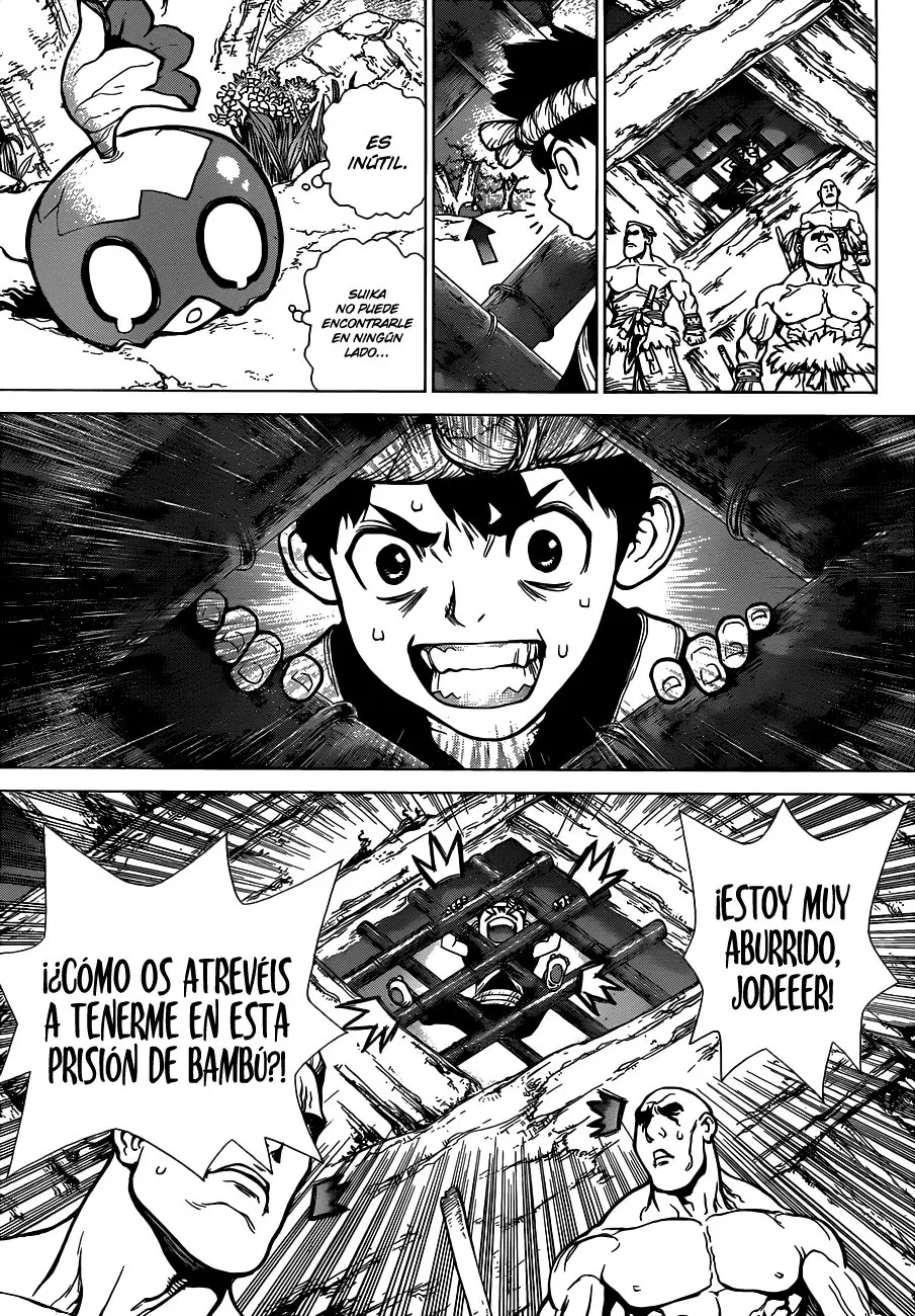 Dr. Stone capítulo 69, página 14
