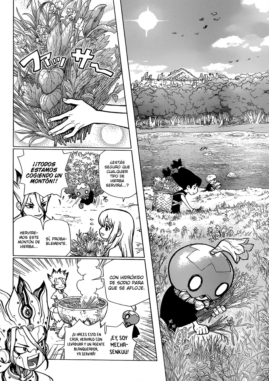 Dr. Stone capítulo 70, página 4